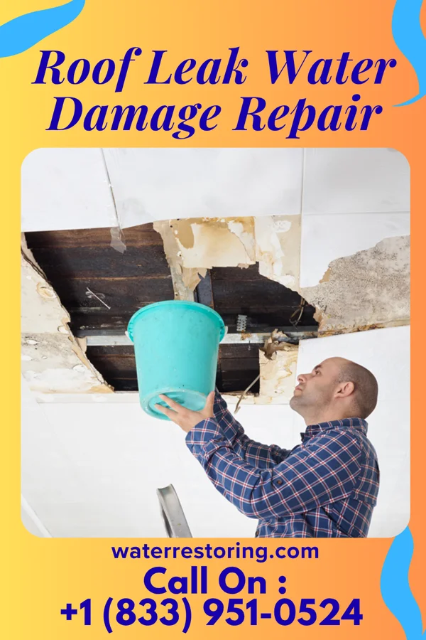 Roof Leak Water Damage Repair in Floyd, NM
