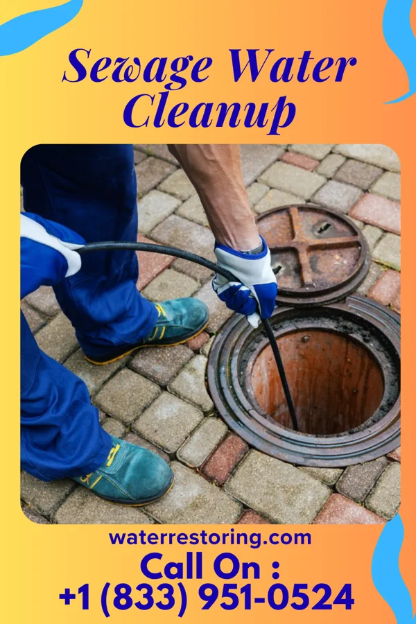 Sewage Water Cleanup in Floyd, NM